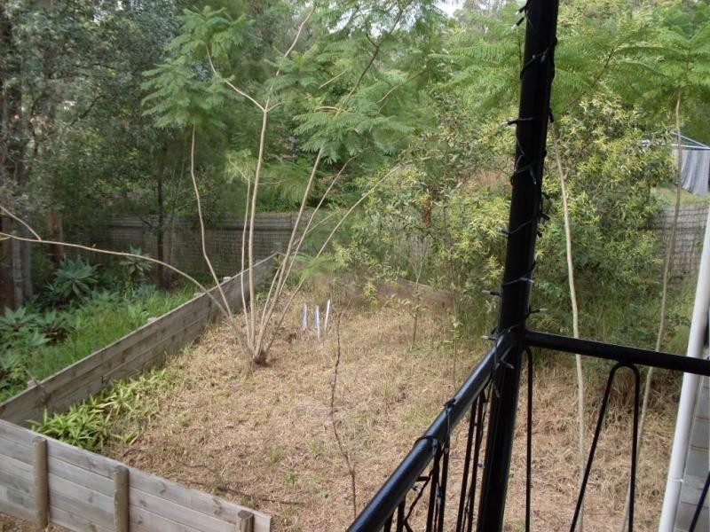 64 Fig Tree Pocket Road, Chapel Hill QLD 4069