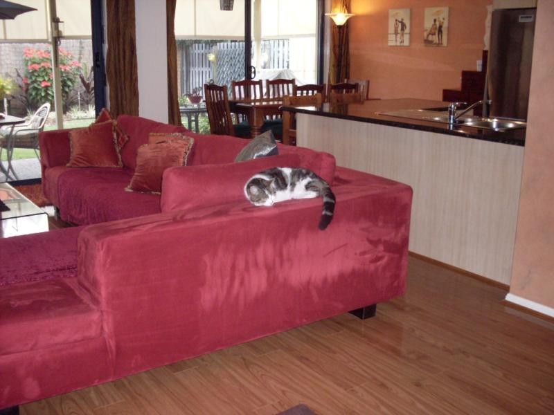 14/121 ALBANY CREEK ROAD, Aspley QLD 4034