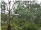 Woy Woy NSW 2256