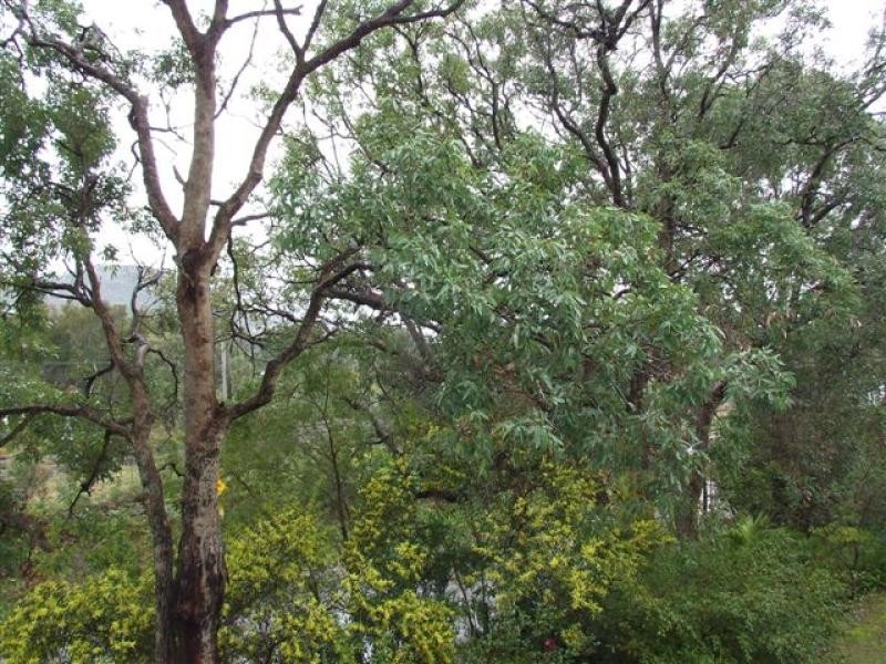 Woy Woy NSW 2256