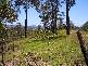 Bowraville NSW 2449