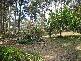 Nambucca Heads NSW 2448