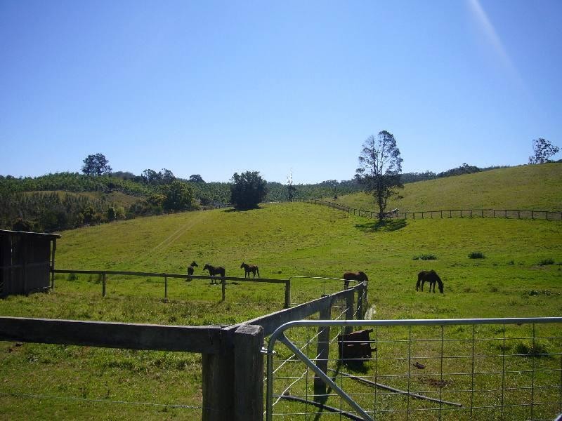 235 TEWINGA LANE, Bowraville NSW 2449