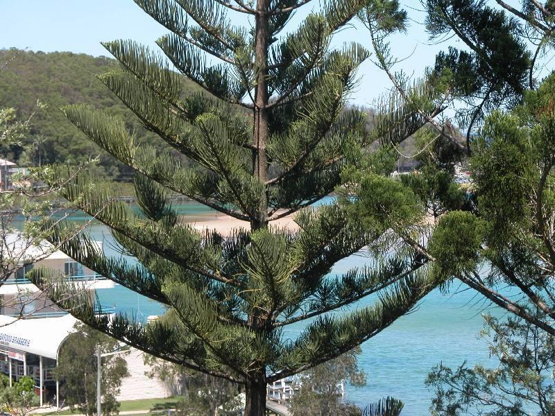 Nambucca Heads NSW 2448