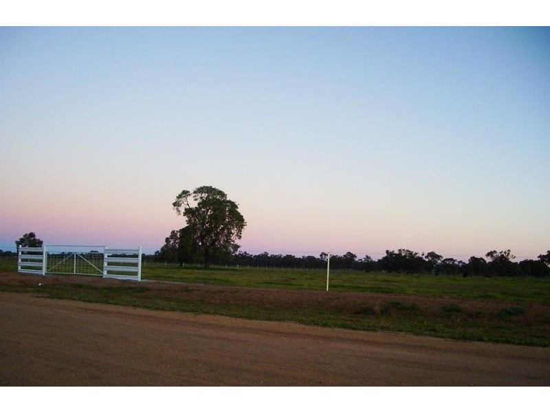 Darlington Point NSW 2706
