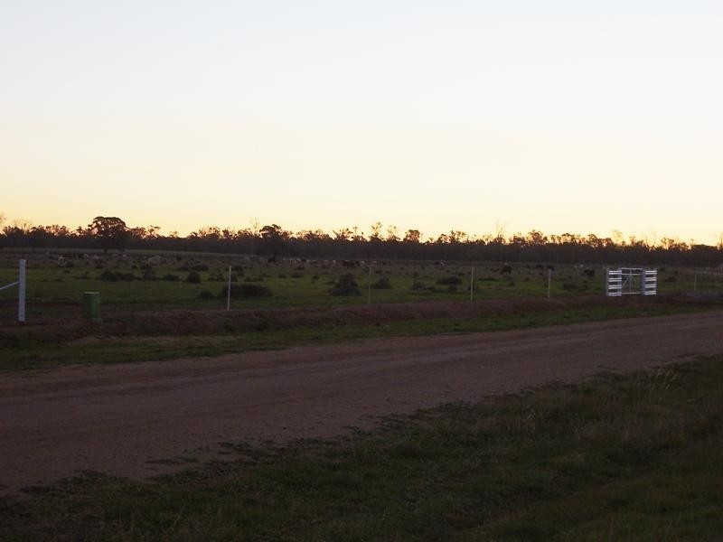 Darlington Point NSW 2706