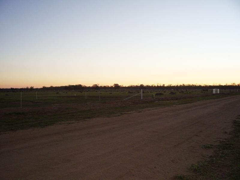 Darlington Point NSW 2706