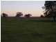 Darlington Point NSW 2706