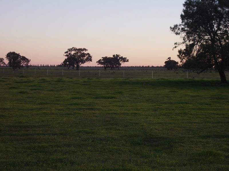 Darlington Point NSW 2706