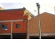 Griffith NSW 2680