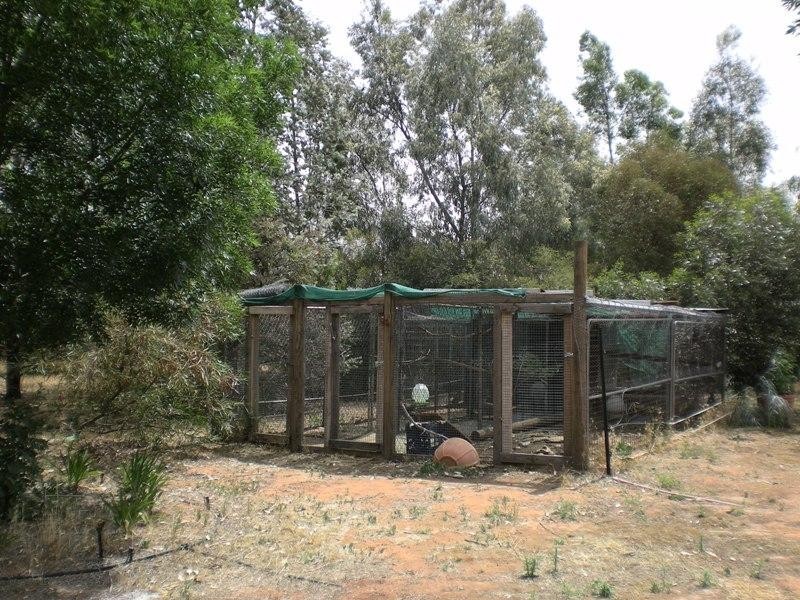 Lake Wyangan NSW 2680