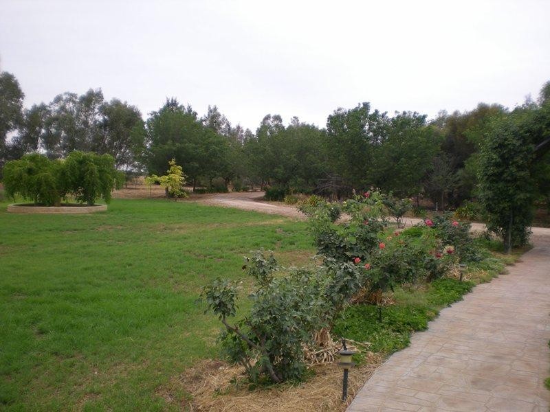 Farm 1444 C, Bilbul NSW 2680