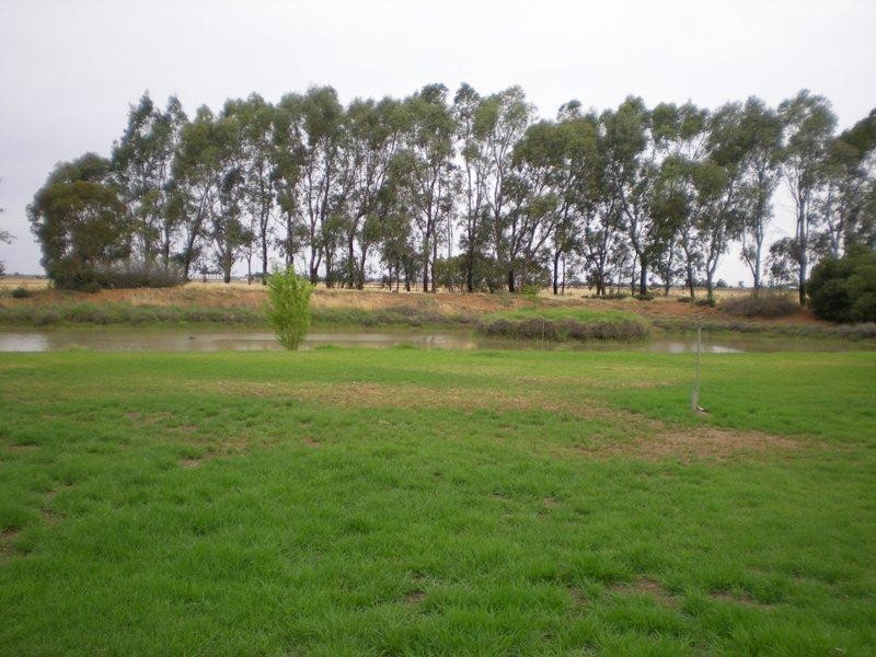 Farm 1444 C, Bilbul NSW 2680