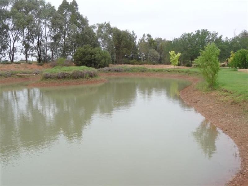 Farm 1444 C, Bilbul NSW 2680