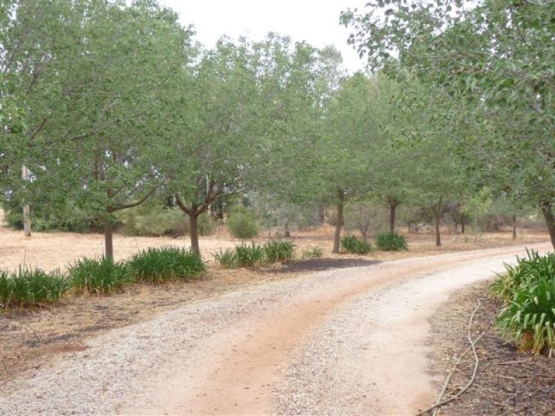 Farm 1444 C, Bilbul NSW 2680