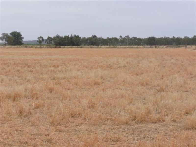 Farm 1444 C, Bilbul NSW 2680