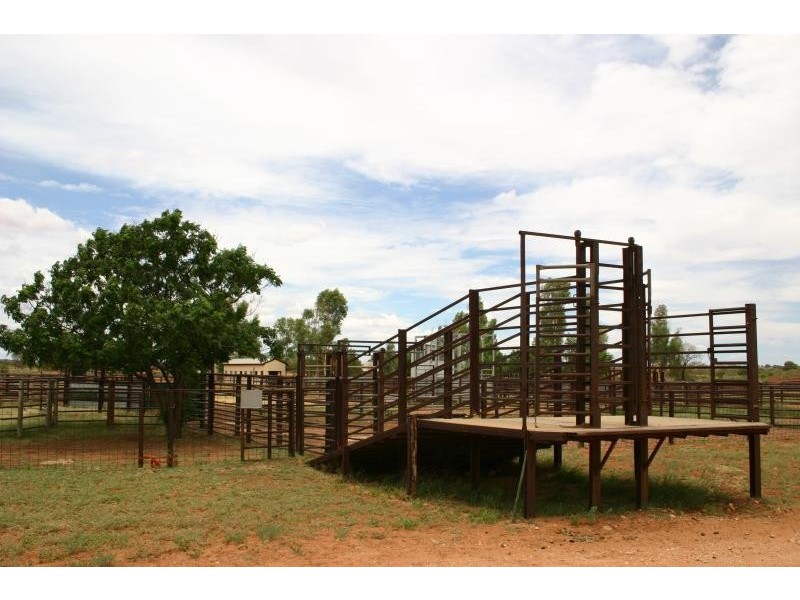 HENBURY STATION, 125 kms south of, Alice Springs NT 0872