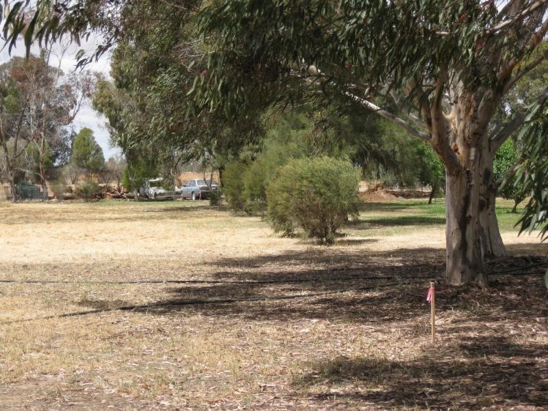 3 Tregany Court, Yarrawonga VIC 3730