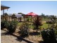 15 James Lillas Drive, Yarrawonga VIC 3730