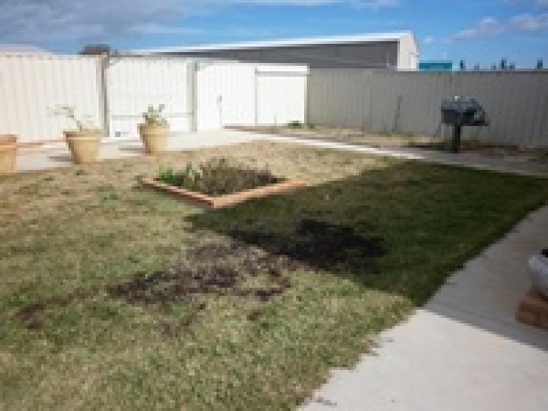 13 Derry Drive, Yarrawonga VIC 3730