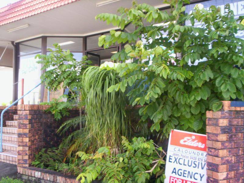 Caloundra QLD 4551