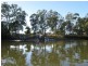 Coochin Creek QLD 4519