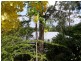 Mooloolah Valley QLD 4553