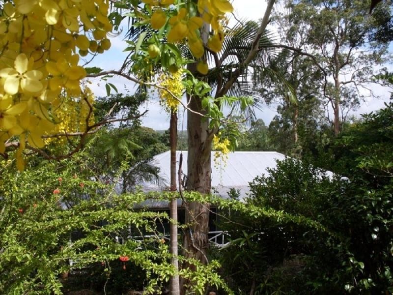 Mooloolah Valley QLD 4553