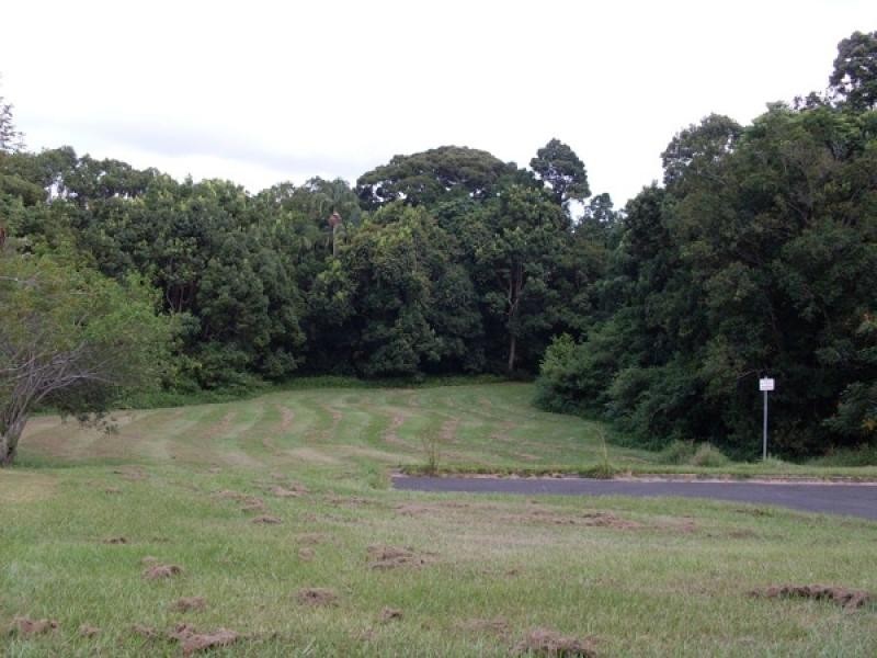 Mooloolah Valley QLD 4553