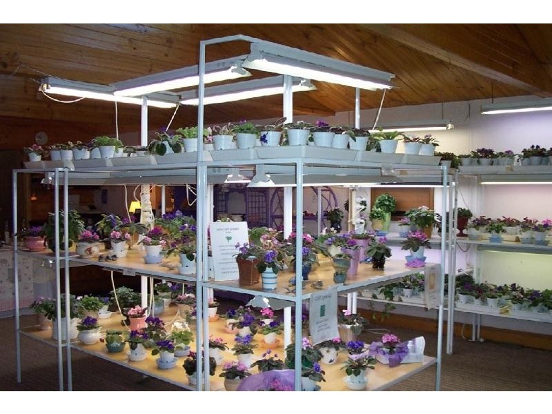 572 Tumut Plains Road, Tumut Plains NSW 2720