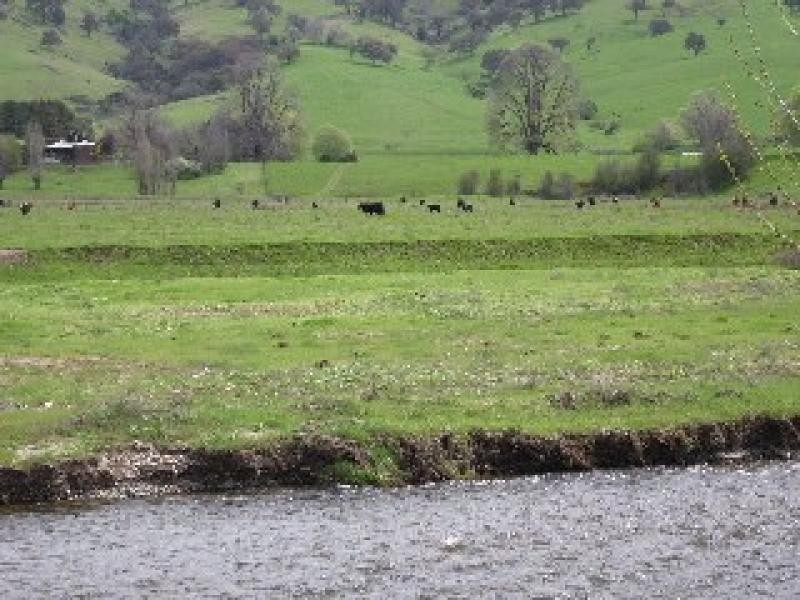 783 East Gilmore Road, Tumut NSW 2720