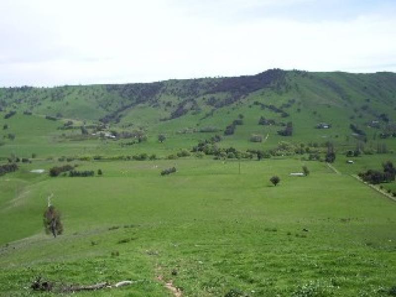 783 East Gilmore Road, Tumut NSW 2720