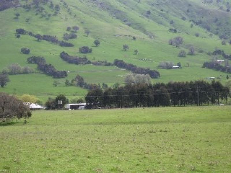 783 East Gilmore Road, Tumut NSW 2720