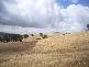 1072 WEE JASPER ROAD, Tumut NSW 2720