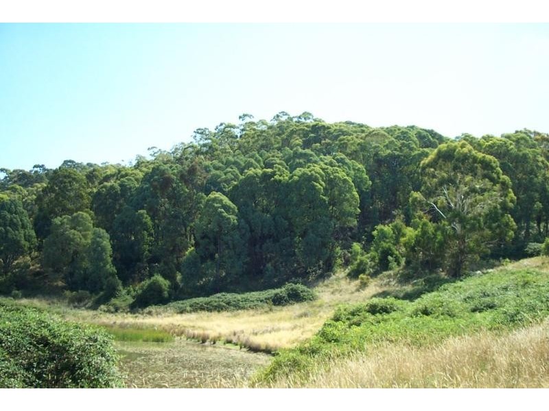 3996 TUMUT ROAD, Batlow NSW 2730