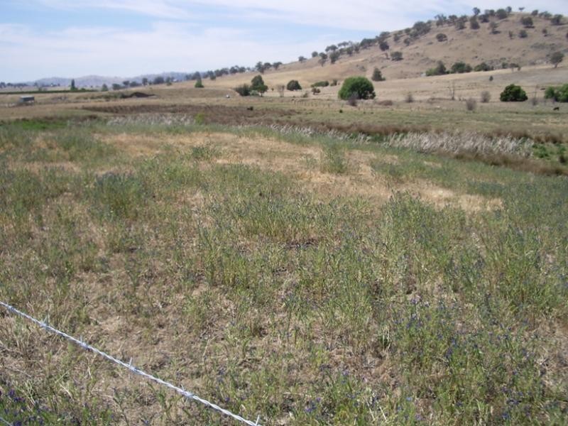 Lot 197 Gundagai Road, Grahamstown via, Adelong NSW 2729