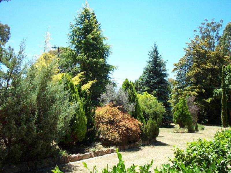 601 BACK KUNAMA ROAD, Batlow NSW 2730