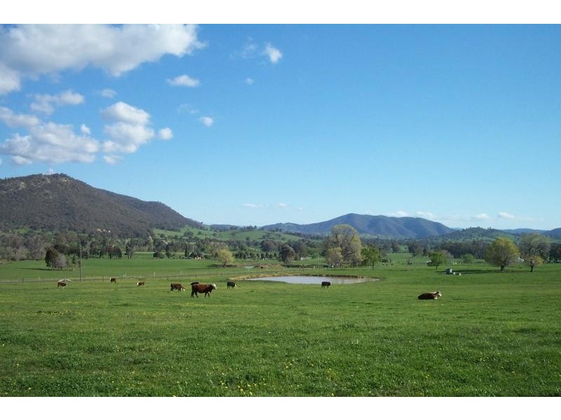 Lot 202/ Argalong Road, Tumut NSW 2720