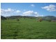 Lot 202/ Argalong Road, Tumut NSW 2720