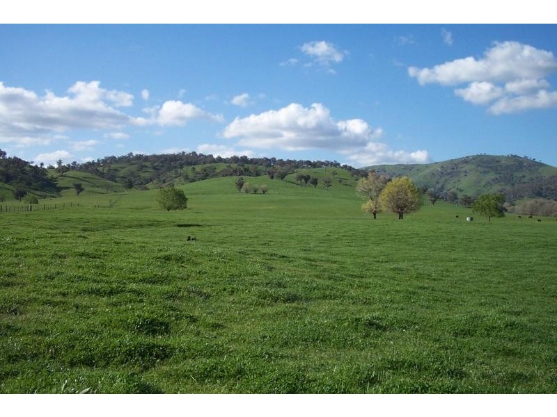 Lot 202/ Argalong Road, Tumut NSW 2720