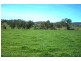 Lot 4/ TUMUT PLAINS ROAD, Tumut Plains NSW 2720