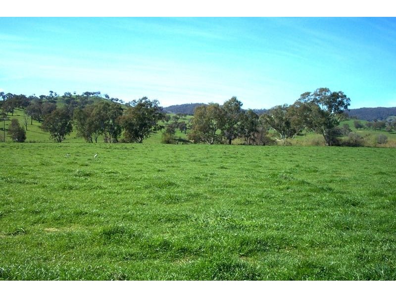 Lot 4/ TUMUT PLAINS ROAD, Tumut Plains NSW 2720