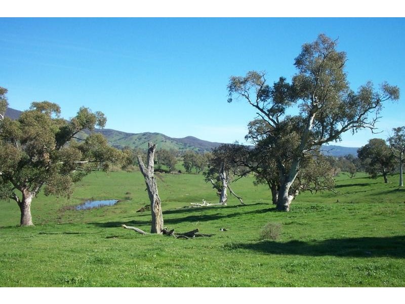 Lot 4/ TUMUT PLAINS ROAD, Tumut Plains NSW 2720