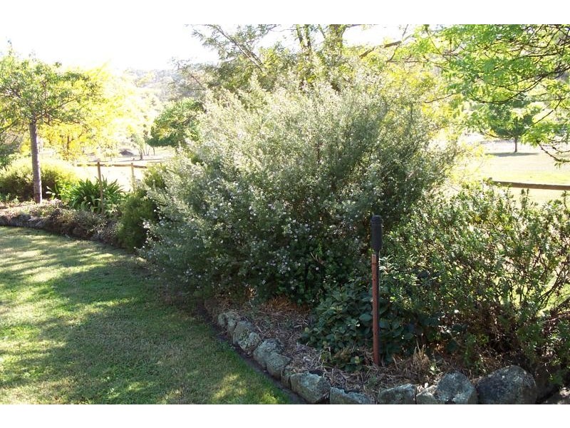 53 Cloverdale Road, Tumut NSW 2720