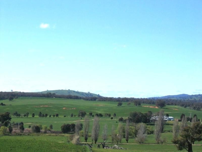 40 SPRING CREEK ROAD40 SPRING CREEK ROAD, Adelong NSW 2729