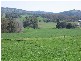 40 SPRING CREEK ROAD40 SPRING CREEK ROAD, Adelong NSW 2729