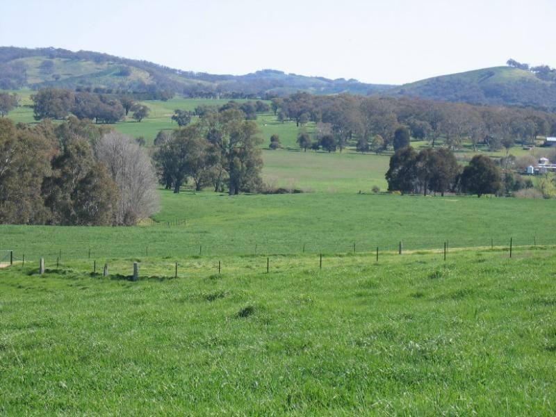 40 SPRING CREEK ROAD40 SPRING CREEK ROAD, Adelong NSW 2729