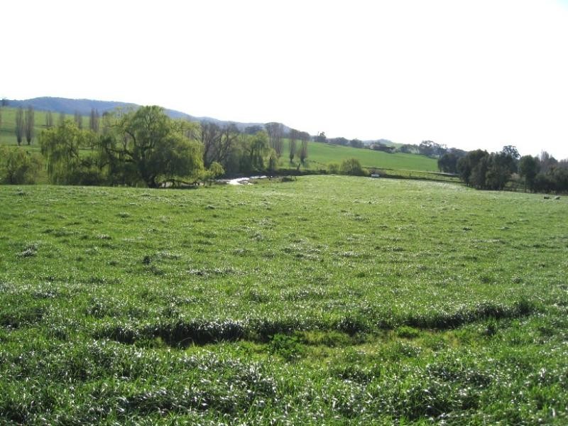 40 SPRING CREEK ROAD40 SPRING CREEK ROAD, Adelong NSW 2729