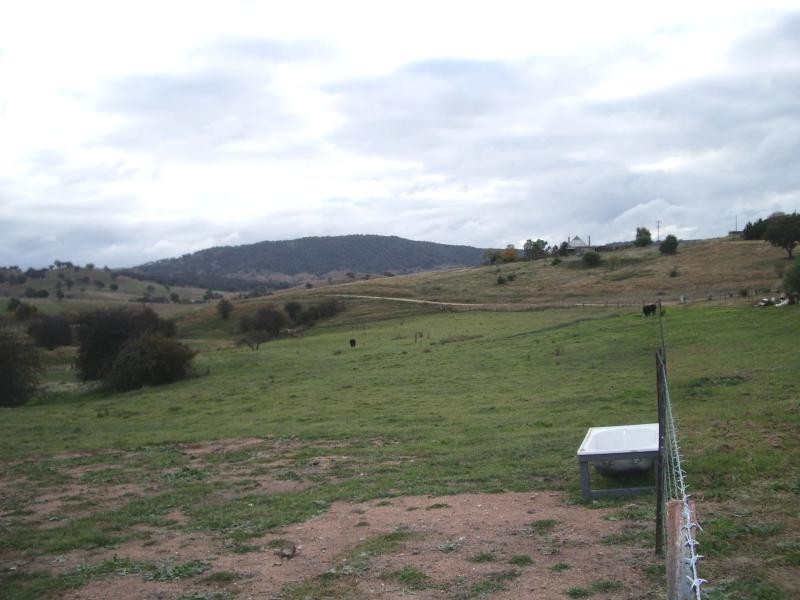 891 Grahamstown Road, Adelong NSW 2729