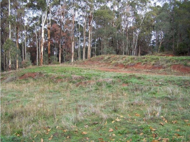 Lot 350/ Tumbarumba Road, Batlow NSW 2730